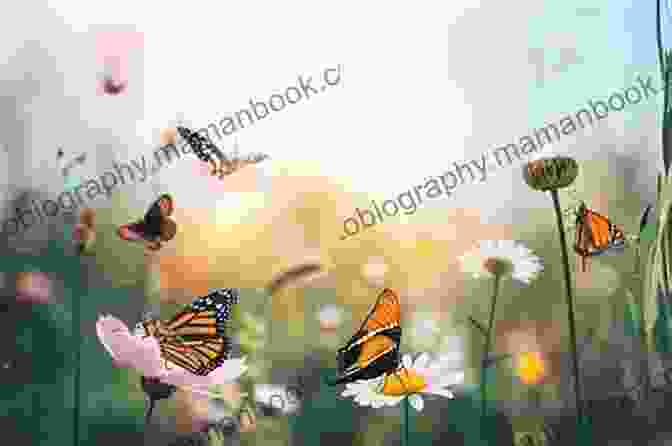 A Butterfly Flying Through A Meadow Butterfly Haiku Jacquelyn Jaie Fourgerel
