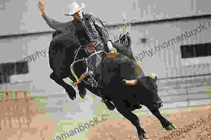 A Cowboy Riding A Bull At A Rodeo Cowboy Reflections The Sunday Bull