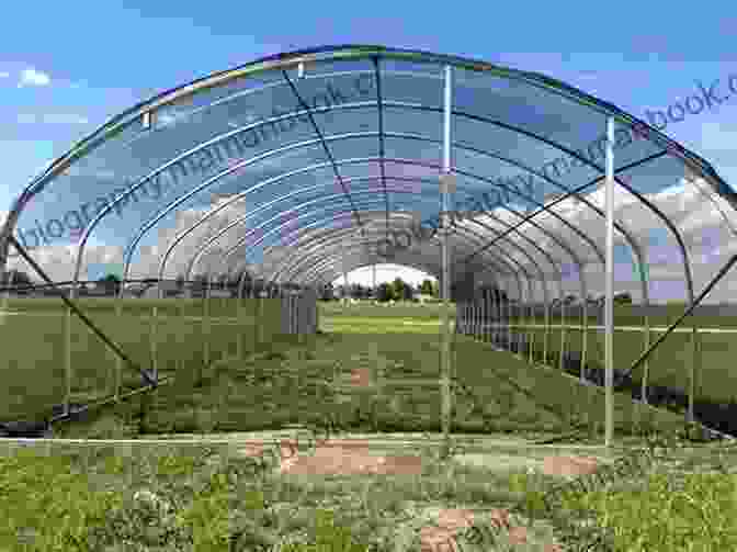 A Large Hoop House With Plants Growing Inside How To Build An Inexpensive Hoop House (The TransFarmer Builder Series)