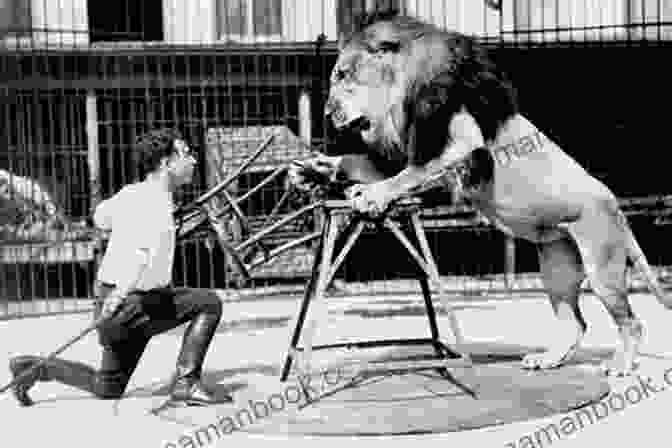 A Photo Of Clyde Beatty Training A Lion At The Carson Barnes Circus. Wild Animal Circus: True Tales From The Carson Barnes Circus