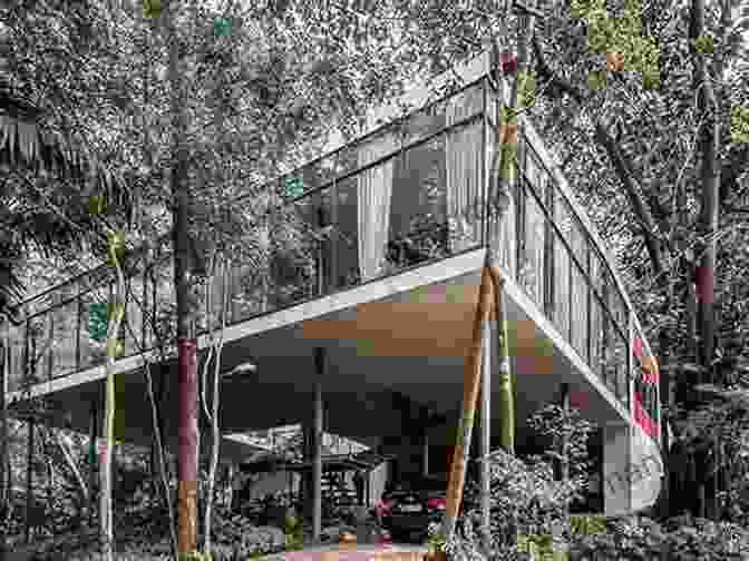 Glass House In São Paulo, Brazil, Designed By Architect Lina Bo Bardi The Secret History Of Home Economics: How Trailblazing Women Harnessed The Power Of Home And Changed The Way We Live
