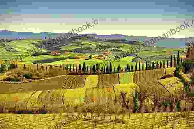 Picturesque Tuscan Vineyards With Rolling Hills And Cypress Trees The Tuscan Child Rhys Bowen