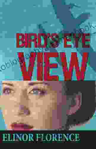 Bird S Eye View Elinor Florence