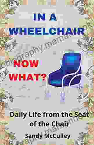 IN A WHEELCHAIR NOW WHAT?: Daily Life From The Seat Of The Chair