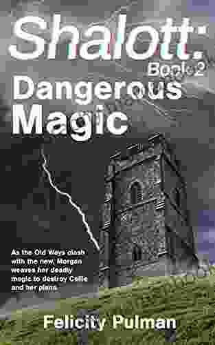 Shalott: Dangerous Magic (Shalott Trilogy 2)