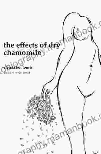 The Effects Of Dry Chamomile